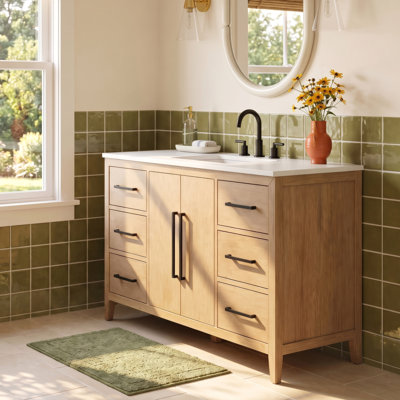 Alsup 54" Single Bath Vanity
