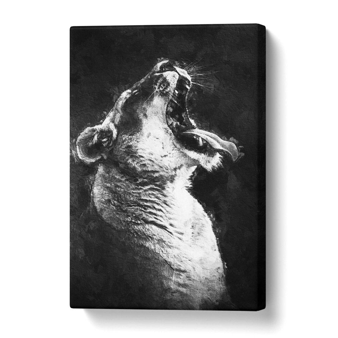Yawning Lioness - Wrapped Canvas