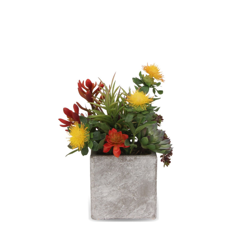 Arrangement floral mixte en pot