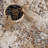 Medallion Design Performance Beige/Brown/Blue Machine Washable Area Rug-71043521