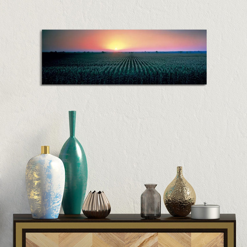 Corn Field At Sunrise Sacramento Co CA USA - Wrapped Canvas Panoramic Print, 30.48 cm H x 91.44 cm W x 1.91 cm D