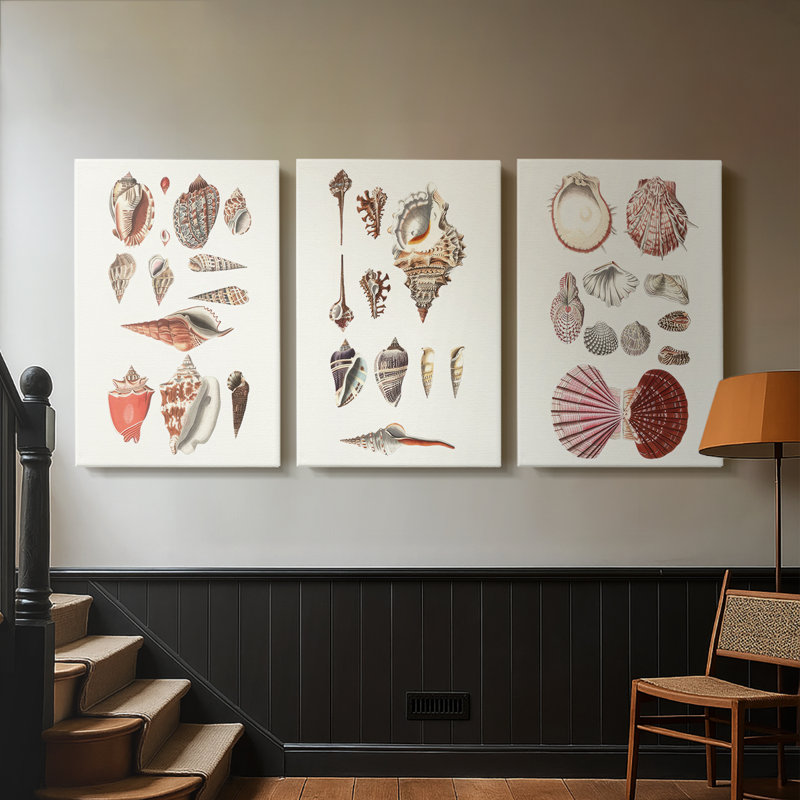 Shell Collection IV - Toile tendue avec châssis sur mesure - 3 pièces, H 27 po x l 54 po