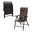 Lininger Folding Camping Chair
