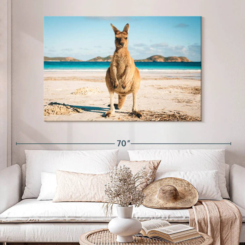 Lucky Bay Kangaroo