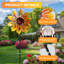 Water Resistant and UV Resistant Glass and Iron Landscape & Nature Garden Accents Accessories