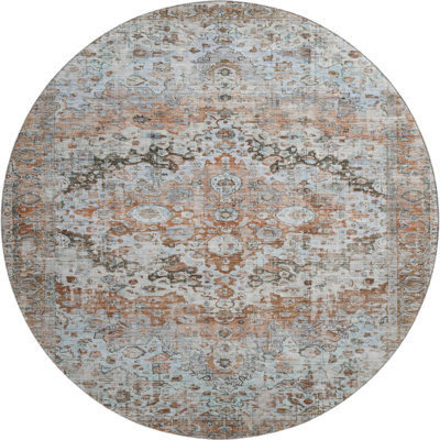 Premium Machine Washable Lubbers AMF1755 Border Rug