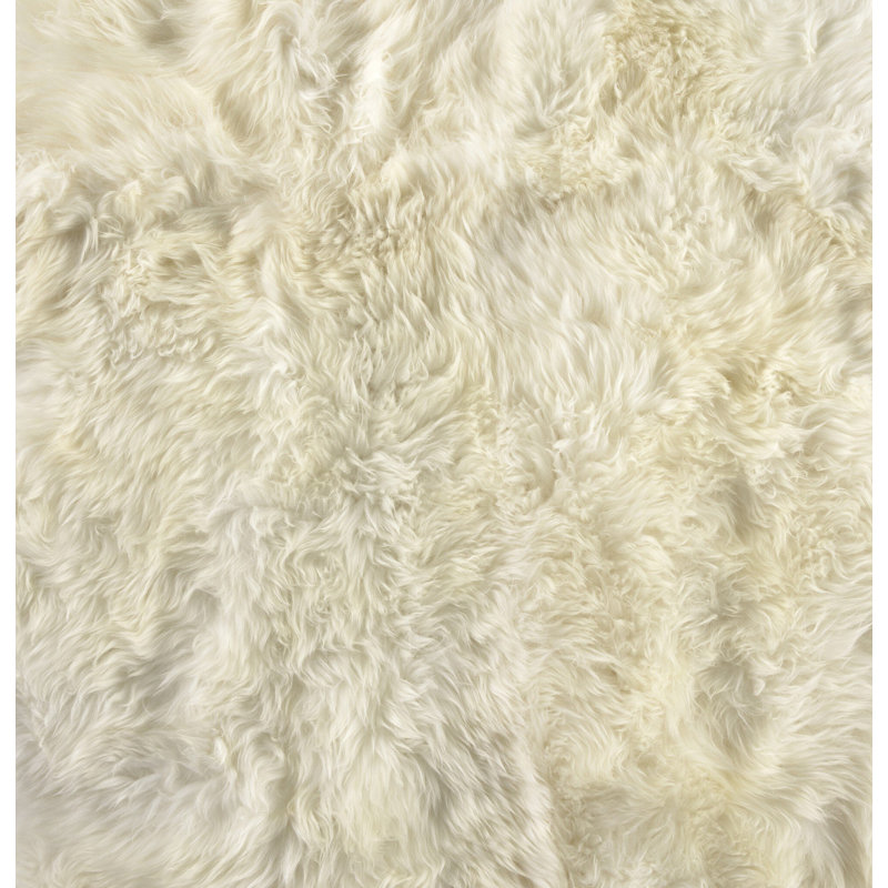 Lalo Sheepskin Area Rug in Cream, Novelty 3'3" x 6'