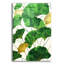 «Leaves Of Green» par Andreas Magnusson, art mural en verre acrylique-1574958860