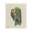 Woodpecker Print-1801067440