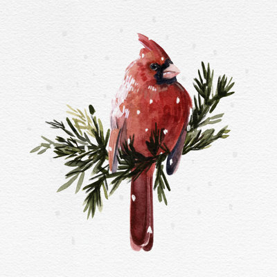 " Cardinal With Snow I " by Emma Caroline Painting Print