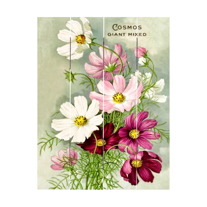Décoration murale cosmos