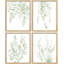 «Minimal Botanical» IDÉE4WALL, art mural variété de feuille de forêt vert pastel encadré, ensemble de 4 impressions de nature sauvage, décoration murale botanique floral pour le salon, impression encadrée de chambre à coucher, 4 pièces-90162009-90162012