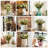 Silk Cloth Daisy Arrangement