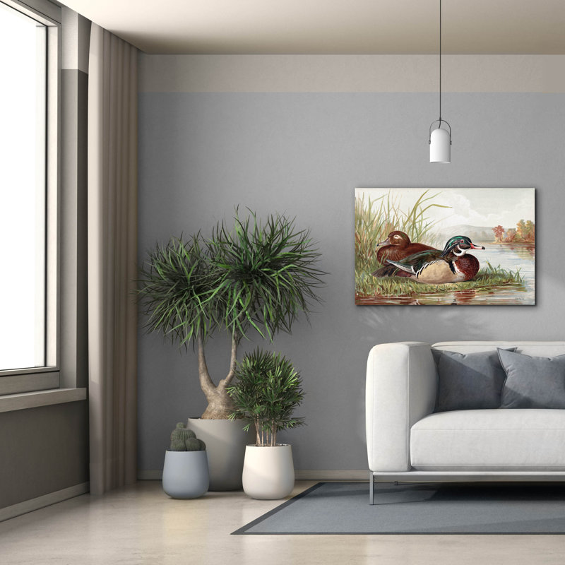  «Resting Duck 2» par Stellar Design Studio, art mural sur toile, 40 po x 26 po