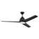 54'' Ceiling Fan with LED Lights