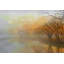 Parvez Taj - Wrapped Canvas Print-15807085