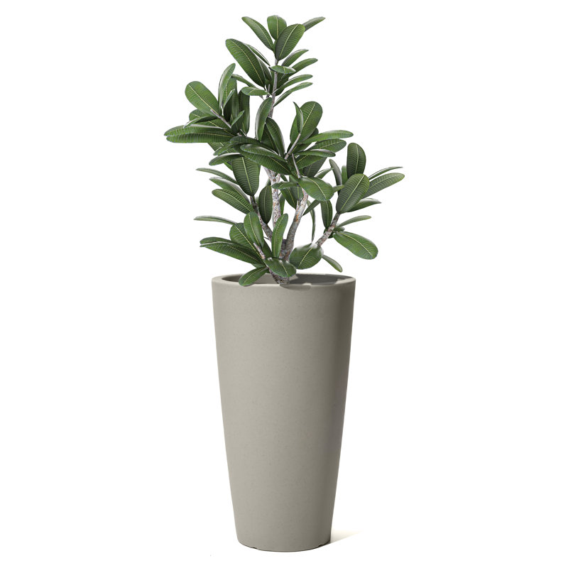 Pot Planter, Beige
