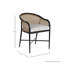 Havana Cane N-Dura Resin Wicker Outdoor Arm Chair-471685102-471685117-471685119
