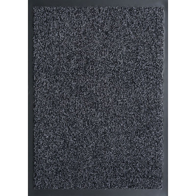Aarianna Non-Slip Doormat