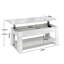 Lift Top Coffee Table with Storage