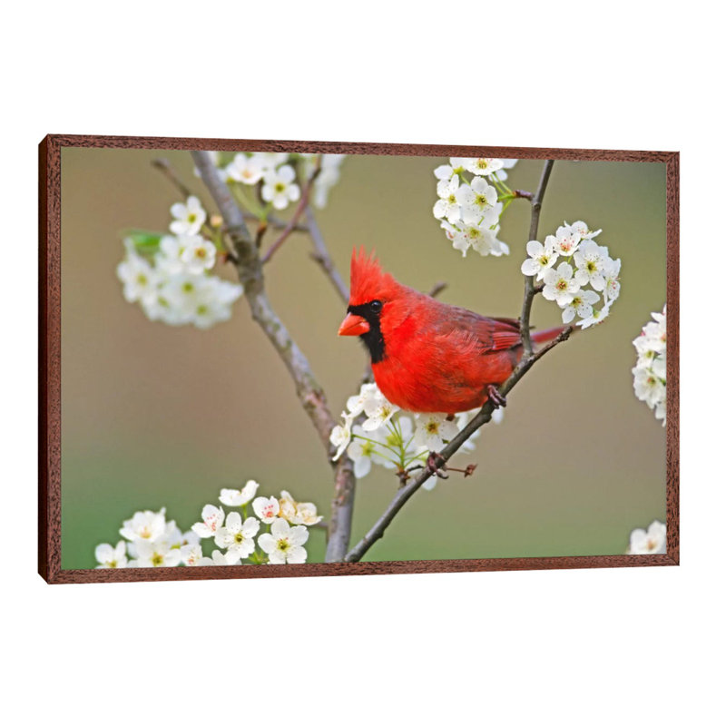 1 Piece Wall Art on Canvas, 66.04 cm H x 45.72 cm W, Brown Framed