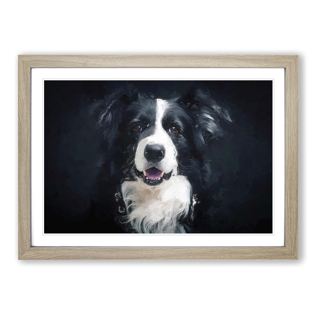 Portrait of a Border Collie Dog in Abstract - Picture Frame Painting Print