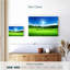 Alvord printemps champ vert-107674492