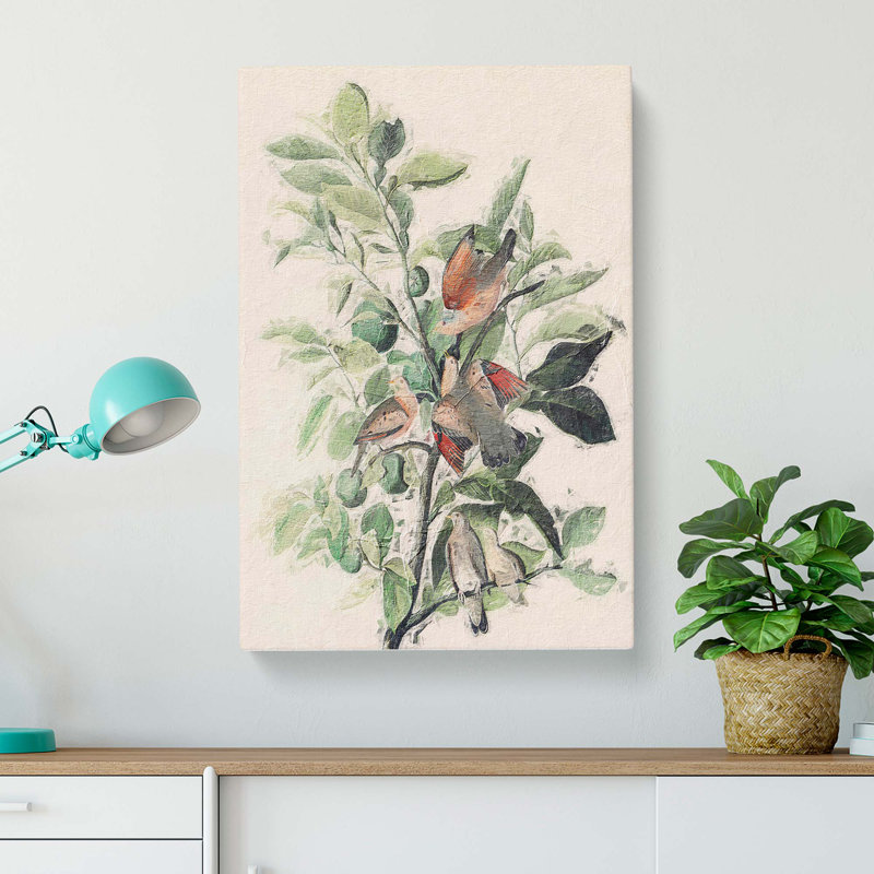 Ground Doves by John Audubon - Wrapped Canvas, 50cm H x 35cm W x 3cm D