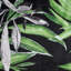 Abdinasir Blackout Curtain-1824750774-1824750776