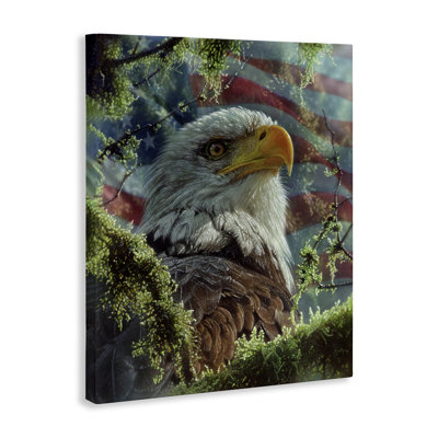 High & Mighty America Canvas, design by Collin Bogle