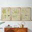 Vintage Sea Grass IV - Toile tendue avec châssis sur mesure - 3 pièces-1434437954-1434437957