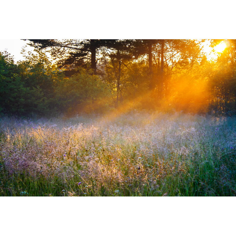 Sunrise Over A Summer Blossoming Meadow by Yanikap - Wrapped Canvas Print, 12"H x 18"W