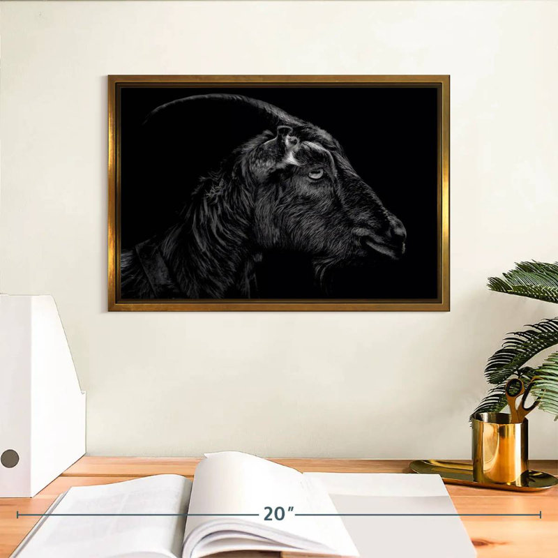 Monochrome Horned Goat, Floating Frame Gold, 13" X 9"
