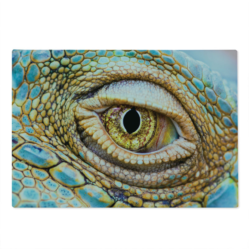 Ambesonne Colourful Cutting Board Large Size Tropic Reptiles Iguana Multicolor