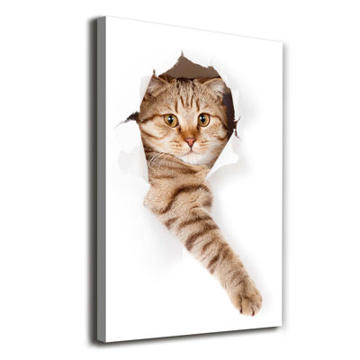 Cat - Wrapped Canvas Print
