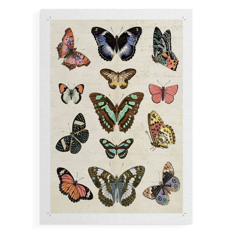 Flutterbys I - Impression sur toile seulement - NON CADRE, H 60 po x l 40 po