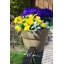 Pot à fleurs en plastique Dalisha-2116642521