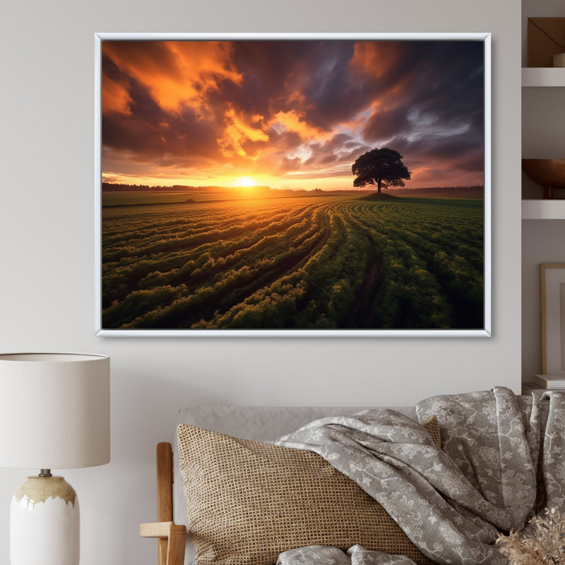 «A Single Tree Glorious Sunset In Flanders Fields I», reproduction sur toile, H 12 po x l 20 po, Cadre flottant blanc
