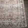 Colin Machine Washable Traditionnal Boho Area Rug