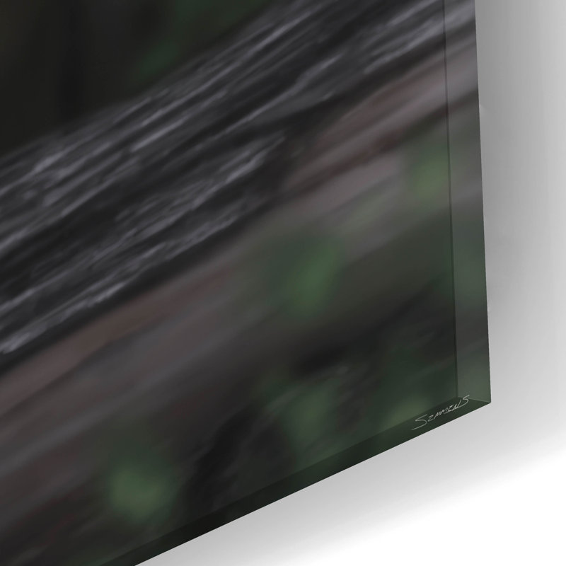 «Moonlight Prowl» par Gordon Semmens, art mural en verre acrylique, H 12 po x l 24 po