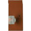 Southwest 1 - Light Flush Mounted Sconce