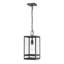 Lanterne suspendue d'extérieur 1 lumière noire Sylmar-551692795