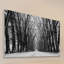 «Rows Of Trees» par Parvez Taj - reproduction de photo non encadrée sur bois-1325904833