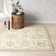 Aden Hand Hooked Wool Oriental Indoor Rug