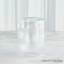 Double Take Vase-Clear Seeded-Tall-1522492475
