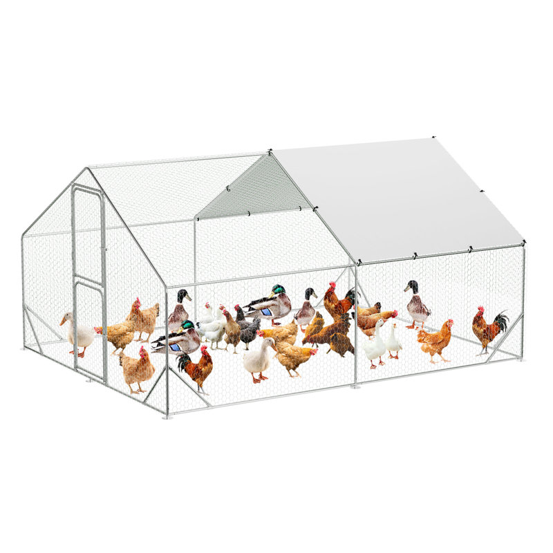 11.95m² Chicken Run, 201.17cm H x 298.7cm W x 600.76cm D