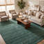 Simi Hand Knotted Cotton/Wool Southwestern Area Rug-1351446967-1377971922