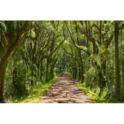 Country Road Panorama IV by James McLoughlin - Photograph