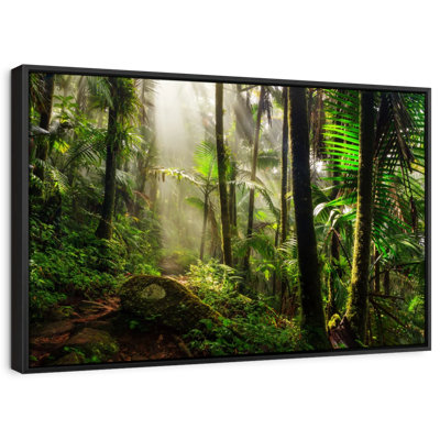 El Yunque National Forest Canvas Print