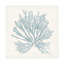 Art mural sur toile bleue, "Trademark Fine Art Wild Apple Portfolio"-101103041